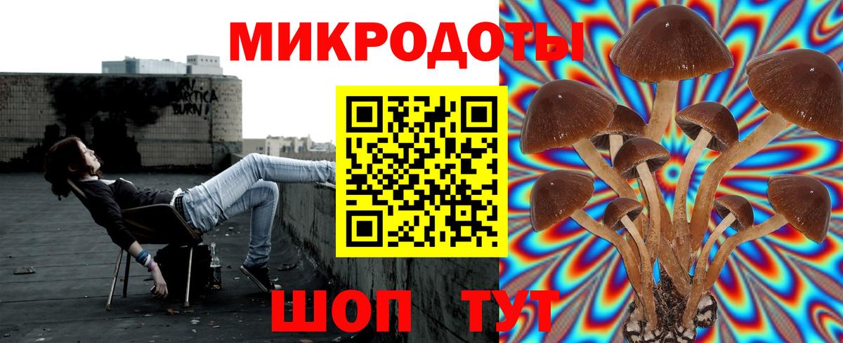 Славянск-на-Кубани  Галлюциногенные грибы мицелий  Вход с VPN 