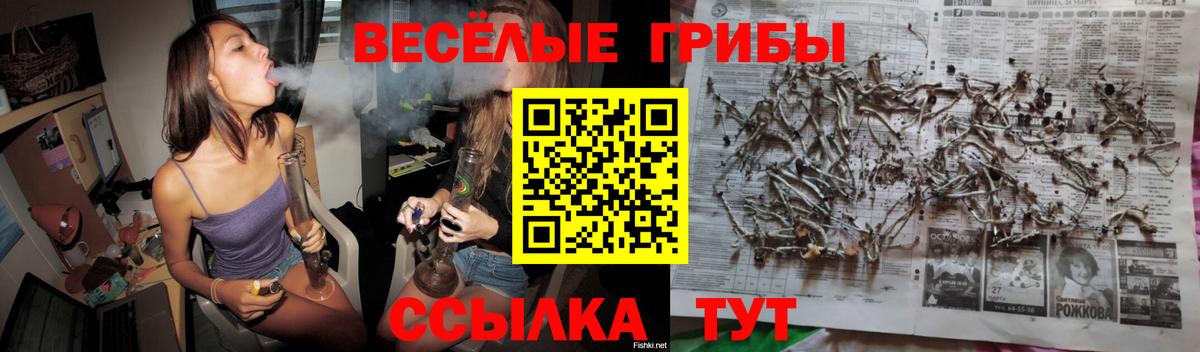 Псилоцибиновые грибы мухоморы Славянск-на-Кубани